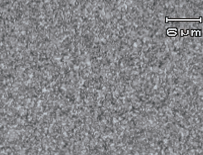 EF10