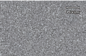 KN20