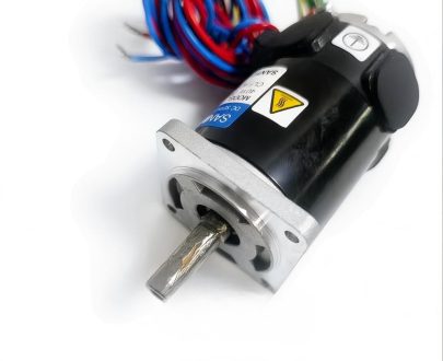 Động cơ dẫn dây Seibu DC25V T404-071